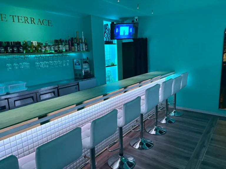 テラス (Girl’s Bar TERRACE)の店内