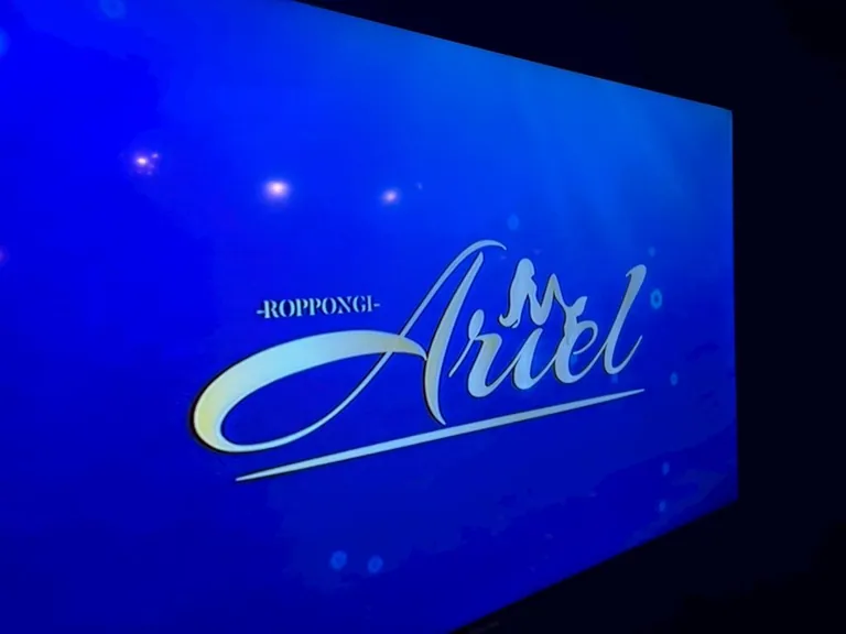 アリエルの店内