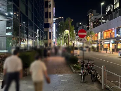 天空・別邸楽陽 (テンクウ・ベッテイラクヨウ）への道順 8／15：高速道路の下をくぐったら横断歩道を渡って右へ曲がります。