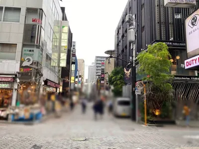 イチゴへの道順 4／5：一つ目の十字路を越えて直進します。