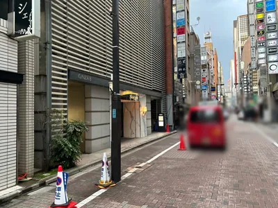 ロドピスへの道順 10／11：左折したらそのまま直進します。