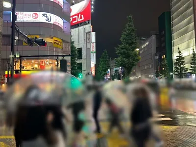 ラブピアへの道順 8／12：「新宿区役所」の交差点に横断歩道を渡ります。