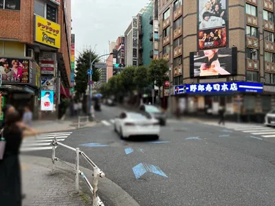 アマテラスへの道順 11／12：「新宿区役所通り(風林会館)」の交差点に出るので横断歩道を渡り直進します。