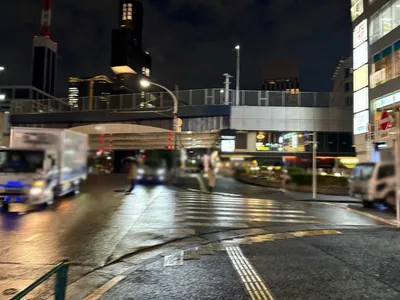 リトルビーへの道順 3／9：一つ目の横断歩道を渡り直進します。