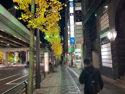 メイドルへの道順 4／8：右手の一つ目の路地を越えて直進します。