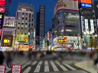 ワイズワイスへの道順 4／12：直進すると「歌舞伎町」の交差点に出るので横断歩道を正面に渡ります。