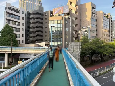ヴァレラへの道順 6／8：交差点に出たら歩道橋を渡って反対側に渡ります。