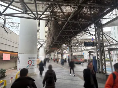 シギラへの道順 3／9：ロータリーを左手に直進します。