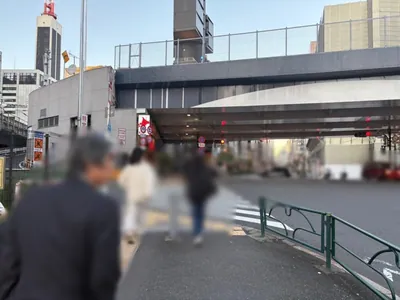 ロッセへの道順 5／7：三つ目の横断歩道を渡って直進を続けます。