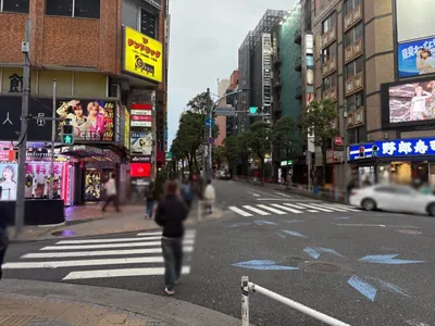アオイへの道順 9／10：直進すると「新宿区役所通り(風林会館)」の交差点に出るので横断歩道を渡りそのまま進みます。