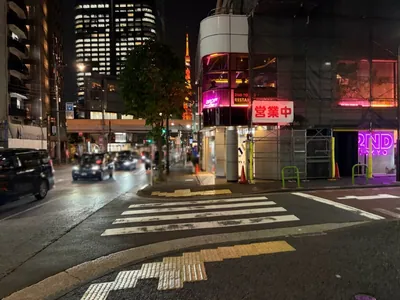 スワロウハウスへの道順 9／12：五つ目の右手路地も越えて直進します。