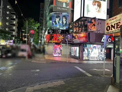 エルフィンへの道順 11／11：一つ目の路地を超えるとすぐ右手に歌舞伎町エルフィンの入る「Lee3ビル」があります。