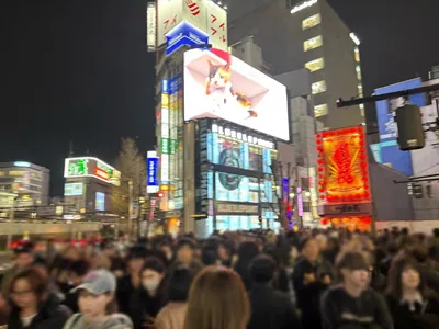 ハルへの道順 3／8：正面の横断歩道を渡って路地に入ります。