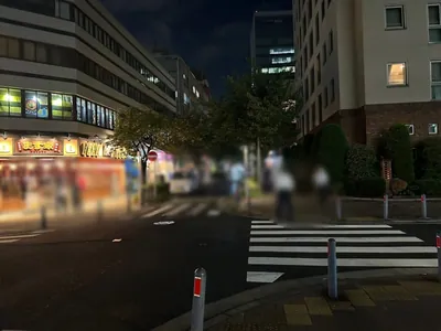 サロンドクラブへの道順 8／11：七つ目の十字路も越えて直進します。