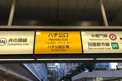 ビットへの道順 1／7：ハチ公出口を出ます。
