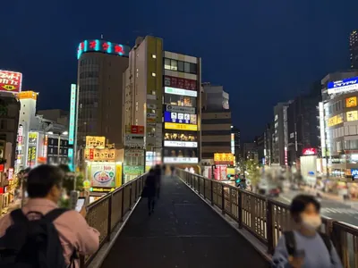 ルナリアへの道順 4／9：歩道橋を上ったら左に進みます。