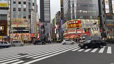 レヴューへの道順 4／9：直進すると「歌舞伎町」の交差点に出るので横断歩道を正面に渡ります。