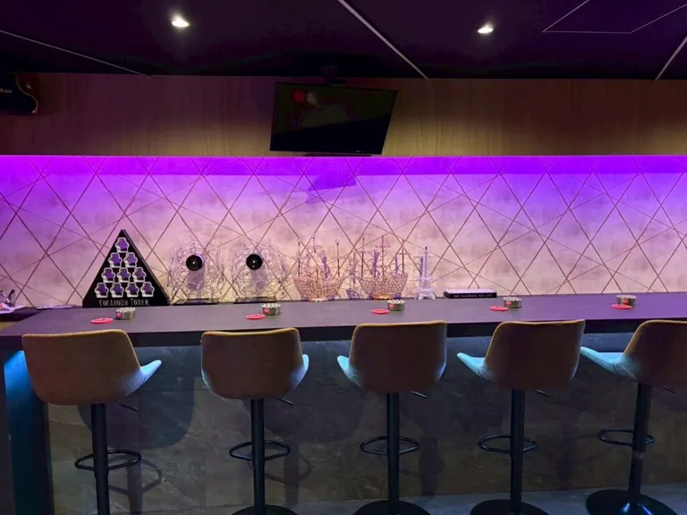 テレサ　（Girl’s Bar TELESA）の店内