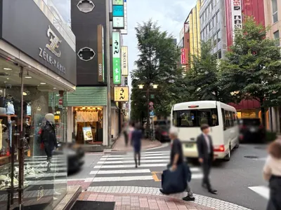 予詩 （ヨシ）への道順 9／10：横断歩道を渡って直進を続けます。