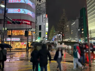 ポセイドンへの道順 8／12：「新宿区役所」の交差点に出たら横断歩道を正面に渡ります。