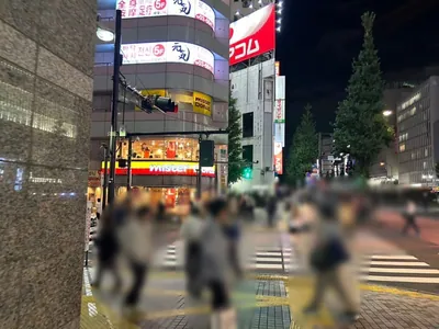 オーバーチュアへの道順 8／11：「新宿区役所」の交差点に出たら横断歩道を渡って左折します。