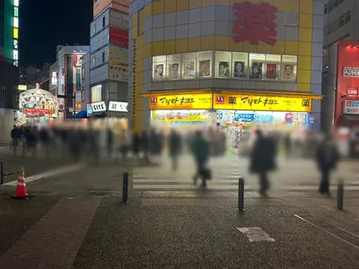 プラナへの道順 3／9：正面の横断歩道を渡ってロータリーを左手に直進します。
