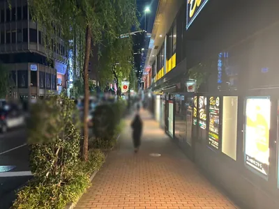 ダミエへの道順 5／7：道路を左手に直進します。