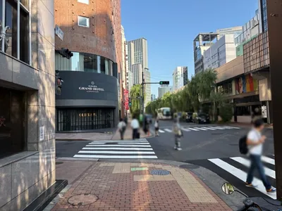 ルシェンテへの道順 7／8：「難波橋の交差点」を横断歩道を渡って左折します。