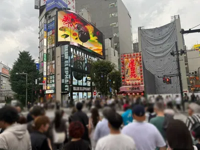 ハイスクールナナプラザへの道順 3／6：正面の横断歩道を渡って路地に入ります。