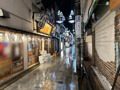 プラザへの道順 5／6：右折後直進します。