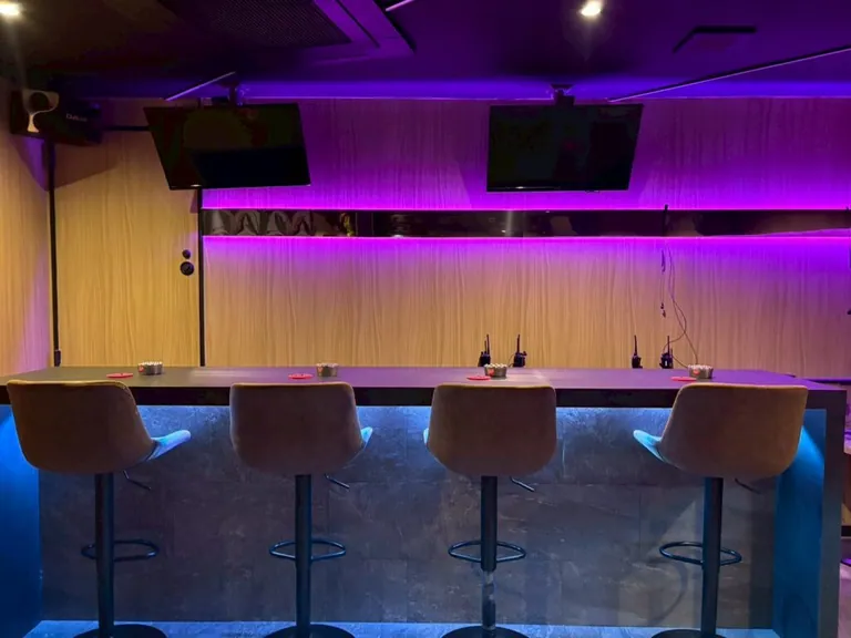 テレサ　（Girl’s Bar TELESA）の店内