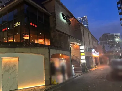 花かんざしへの道順 6／6：十字路を越えた左手に六本木花かんざしの入る「瀬里奈ビレッジ」があります。