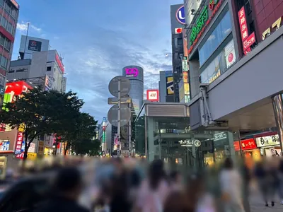フォーシーズンへの道順 4／6：渡ったら道路を左手に進みます。
