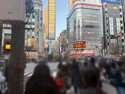 リアリスへの道順 4／9：直進すると「歌舞伎町」の交差点に出るので交差点を正面に渡ります。