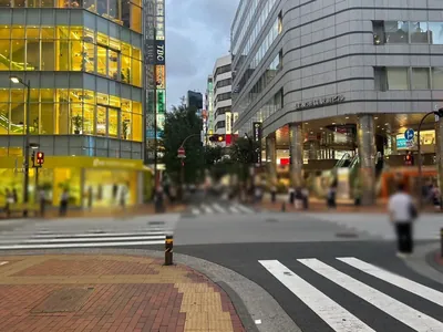 フェニックスへの道順 4／7：一つ目の十字路を渡って直進を続けます。