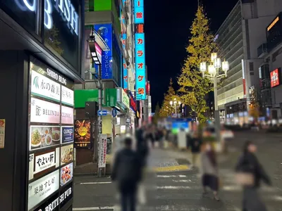 エルフィンへの道順 7／11：二つ目の路地も越えます。