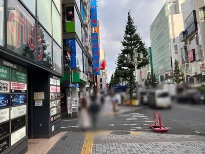 杏への道順 7／10：二つ目の路地も超えて直進します。