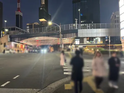 ダミエへの道順 3／7：横断歩道を渡って直進を続けます。
