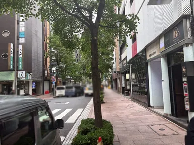 ボリバードへの道順 9／10：左手路地を越えて直進を続けます。