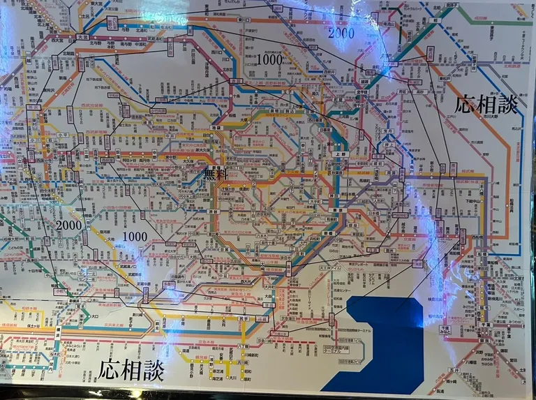 ドンフィンの店内