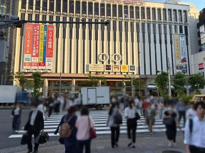 ドンピーへの道順 3／10：正面の横断歩道を渡ります。