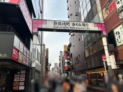 ノーブルへの道順 7／11：突き当たるまで直進を続けます。