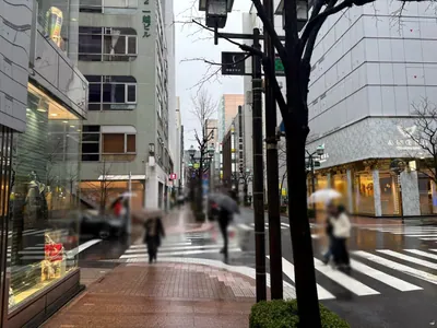 ドルフィンへの道順 10／11：十字路を越えて直進を続けます。