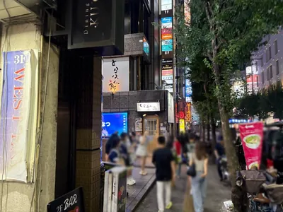 エディションへの道順 11／11：少し歩くと左手に歌舞伎町エディションの入る「ザ・カテリーナビル」があります。
