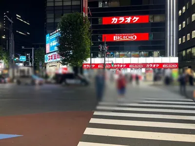 天空・別邸楽陽 (テンクウ・ベッテイラクヨウ）への道順 3／15：横断歩道を渡ったら左手の横断歩道を渡ります。