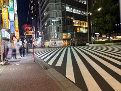 グランヴァレへの道順 15／17：横断歩道を渡ります。