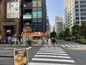 秋葉原　二次元彼女 （ニジゲンカノジョ）への道順 9／10：直進をするとT字路に出るので横断歩道を正面に渡ります。