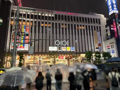 カリエへの道順 3／8：正面の横断歩道を渡ります。