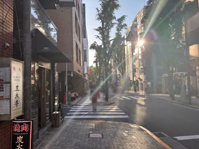 庭園への道順 8／12：左手二つ目の路地も超えて直進を続けます。