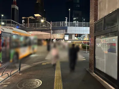 ミラージュへの道順 3／11：一つ目の横断歩道を渡ります。